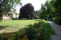 Hofgarten berandeter Rasen