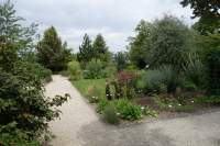 Oberdieckgarten