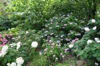 Oberdieckgarten