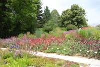 Sichtungsgarten