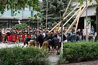 Maibaum Eching 01.05.2018