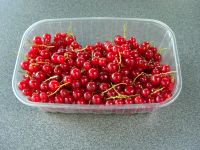 Erntefrische Johannisbeeren 2€