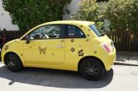 Neufahrn Schmmetterlings FIAT
