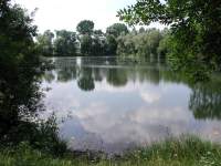 Vöttinger Weiher