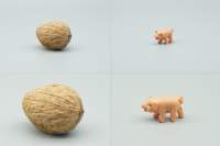 Meike Nahlinse Walnuss Schwein