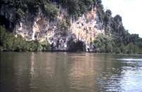 Ausflug Khao Phing Kan