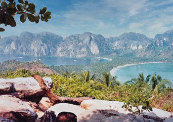 Thai199n