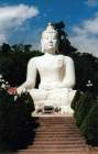 Chiang Rai Buddhastatue