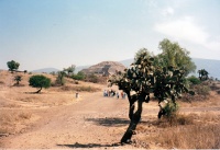 Pyramiden Teotihuacan