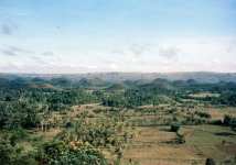 Chocolate Hills