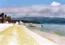 Strandansicht mit Algenpest