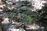 Sieben Quellen Wodenn