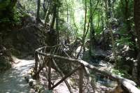 Schmetterlingstal Waldweg