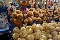 Importschwamm Souvenier