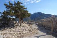 Monolithos Burgruine
