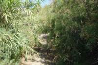 Apolakkia Damm Rundweg