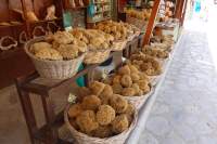 Symi Importschwämme