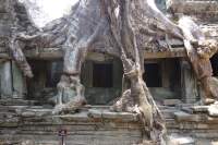 Angkor Preah Kahn