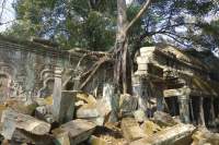Angkor Ta Prohm Tempel