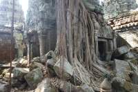 Angkor Ta Prohm Tempel