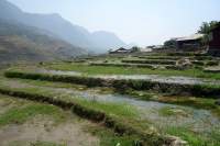Sapa Wanderung Reisfelder