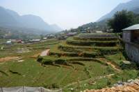 Sapa Wanderung Reisfelder