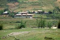 Sapa Wanderung Reisfelder