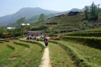 Sapa Wanderung Gänsemarsch