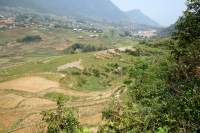 Sapa Wanderung Reisfelder