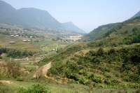 Sapa Wanderung Reisfelder