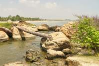 Arugam Bay Elephant Rock Brücke