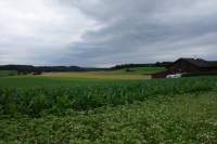 Fernblick Frieding