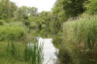 Ingolstadt Kneipp Anlage