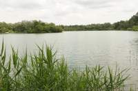 Donaukanal Schafirrsee