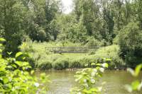 Donaukanal Holzbrücke