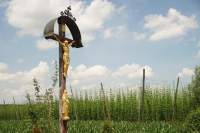 Rohrbach Hopfen-Jesus