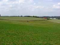 Hohenbachern Felder