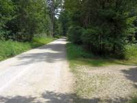 Idyllischer Waldweg