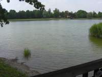 See Kranzberg