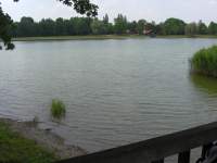 See Kranzberg