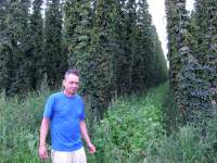 Rudi im Hopfenfeld