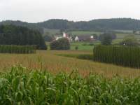 Hopfenanbau Mainburg