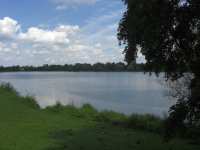 Fasaneriesee