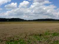 Blick auf Giggenhausen