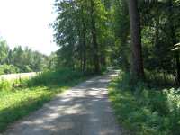 Isar Radweg bei Mintraching