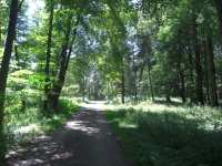 Isar Radweg Höhe Eching