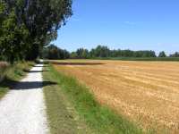 Feldweg Isar Garching