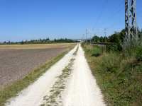 Feldweg nach Neufahrn