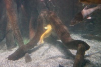 München Sealife Donau