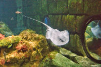 München Sealife Mittelmeerhafen